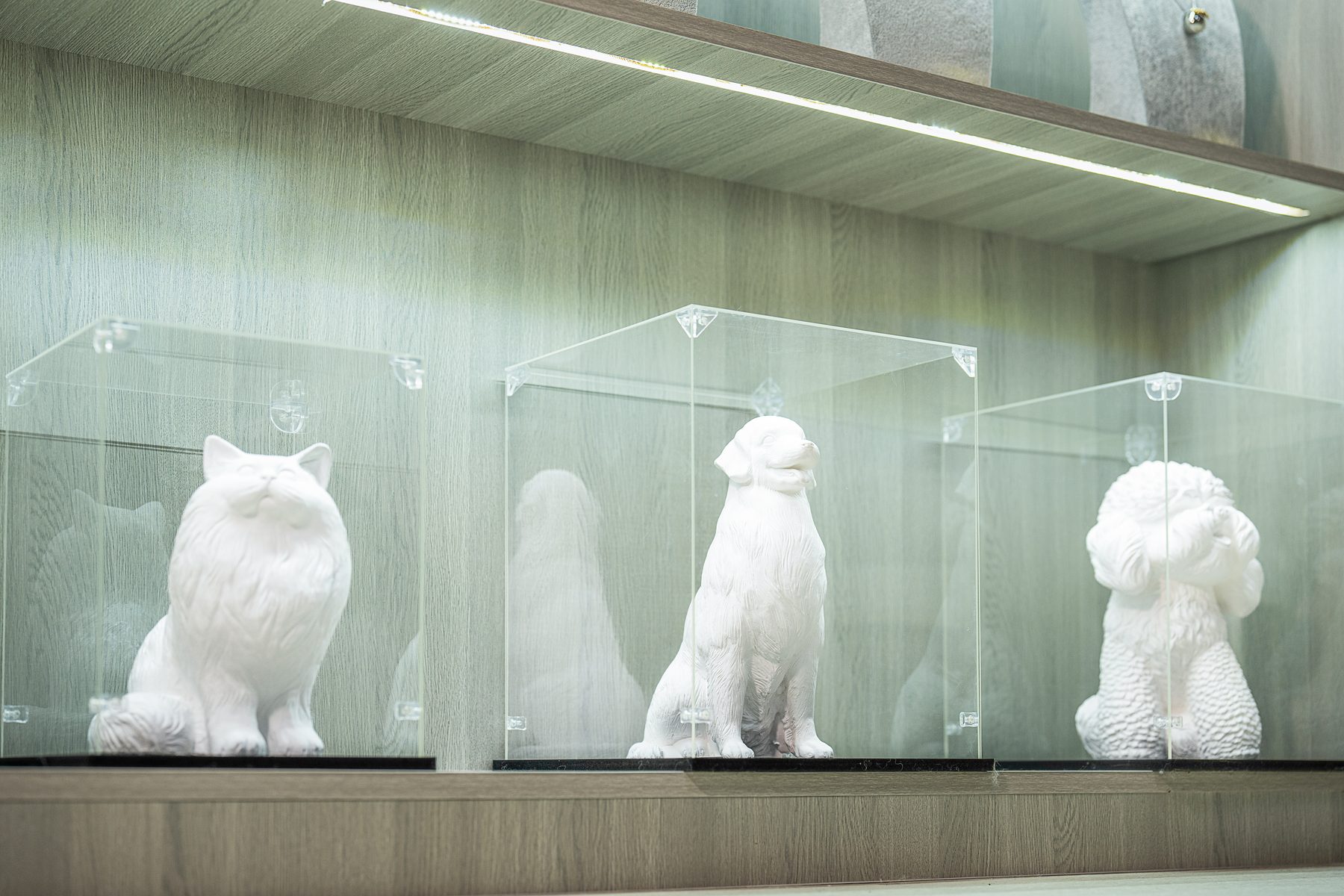 伴宠渡纪念品展示
